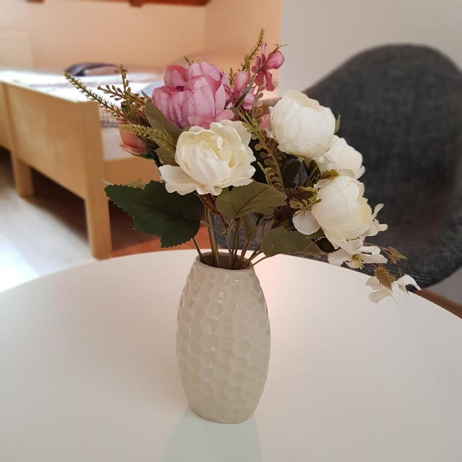 Studio Apartman Ivana ヤイツェ エクステリア 写真